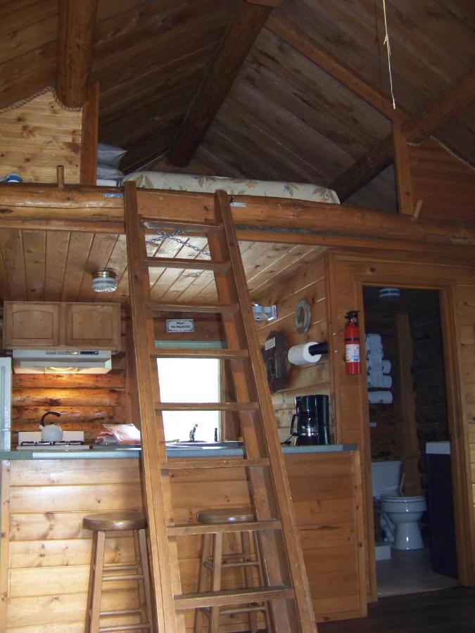 Box Canyon Cabins Seward Eksteriør billede
